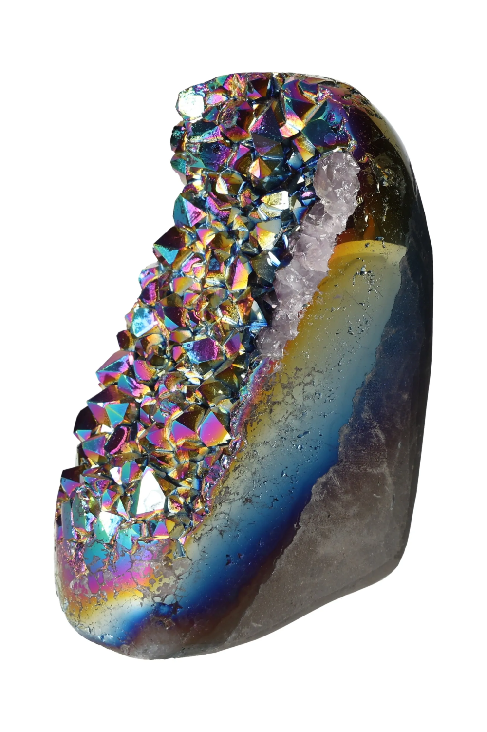 orbitvu|type:image2d