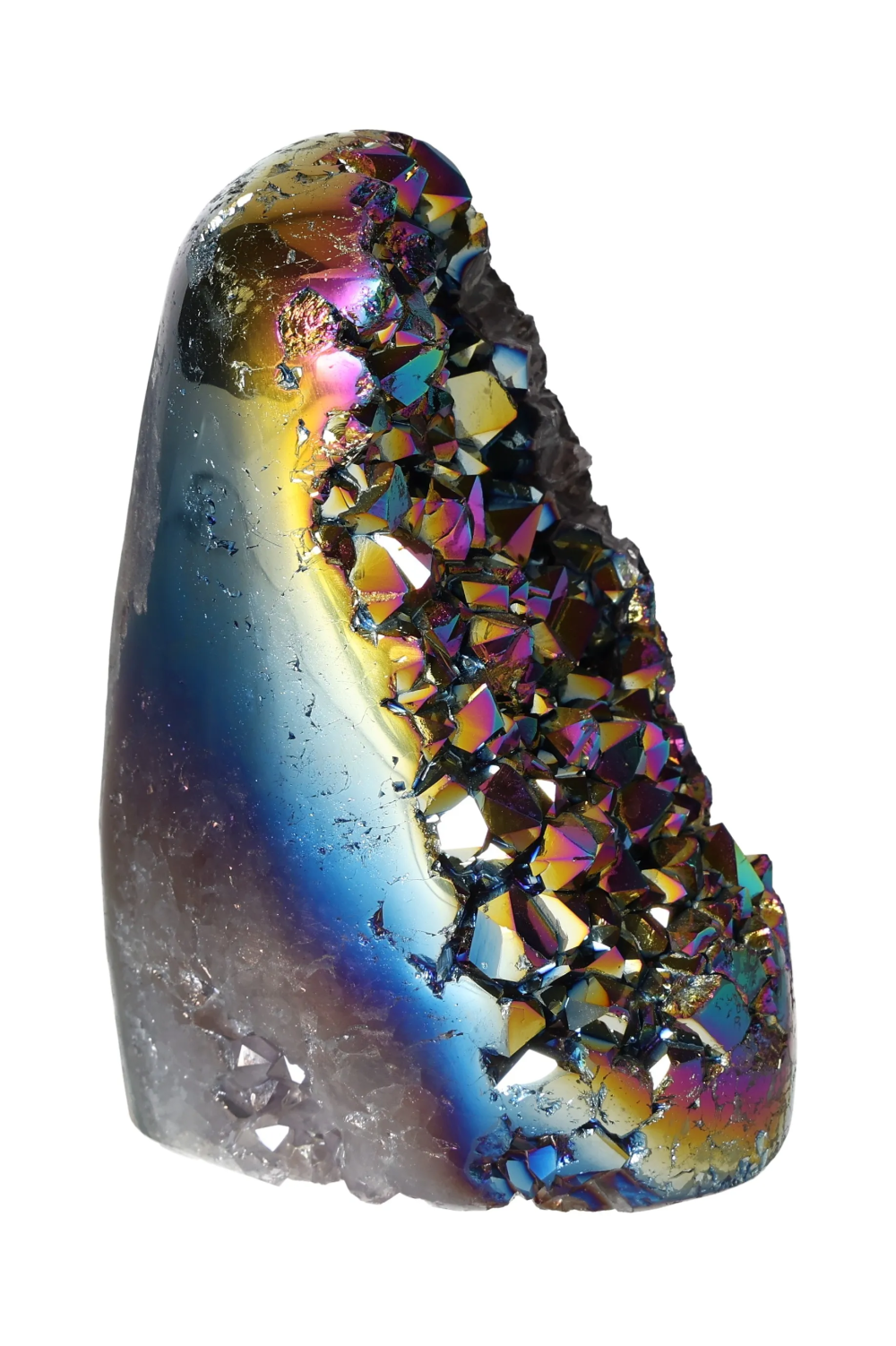 orbitvu|type:image2d