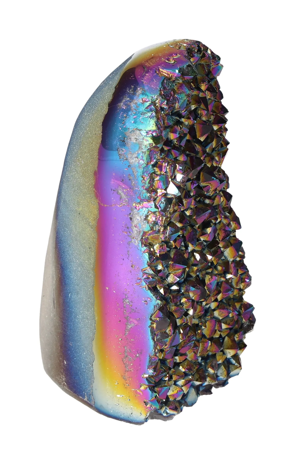 orbitvu|type:image2d