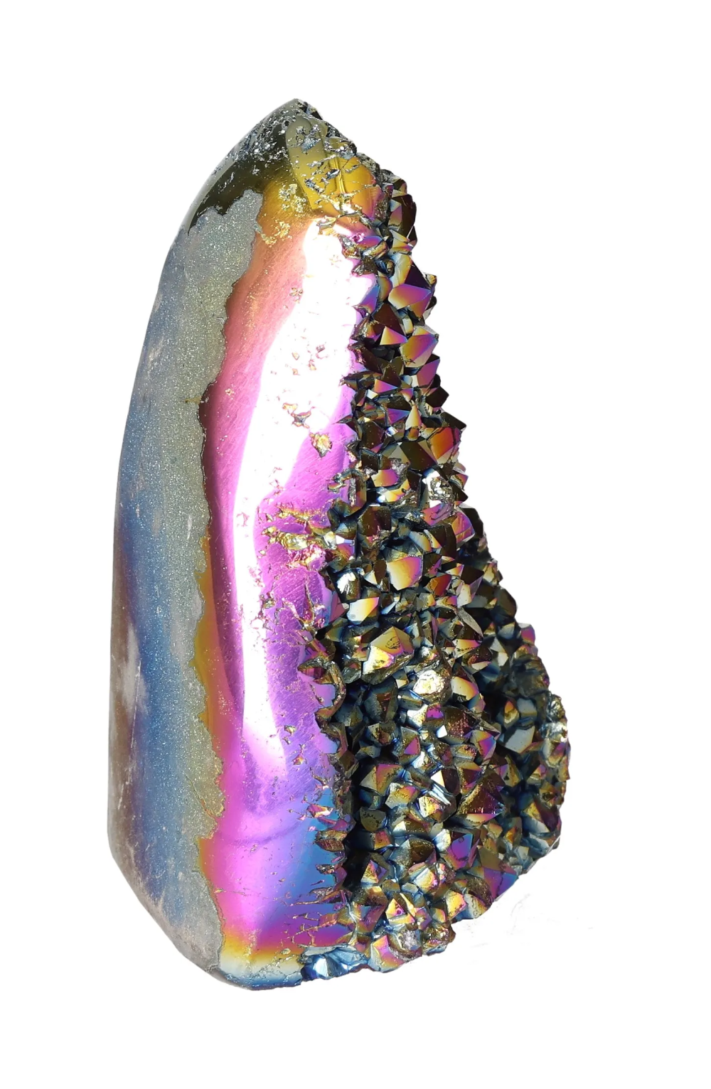 orbitvu|type:image2d