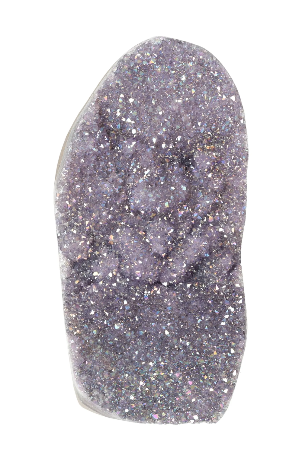 orbitvu|type:image2d