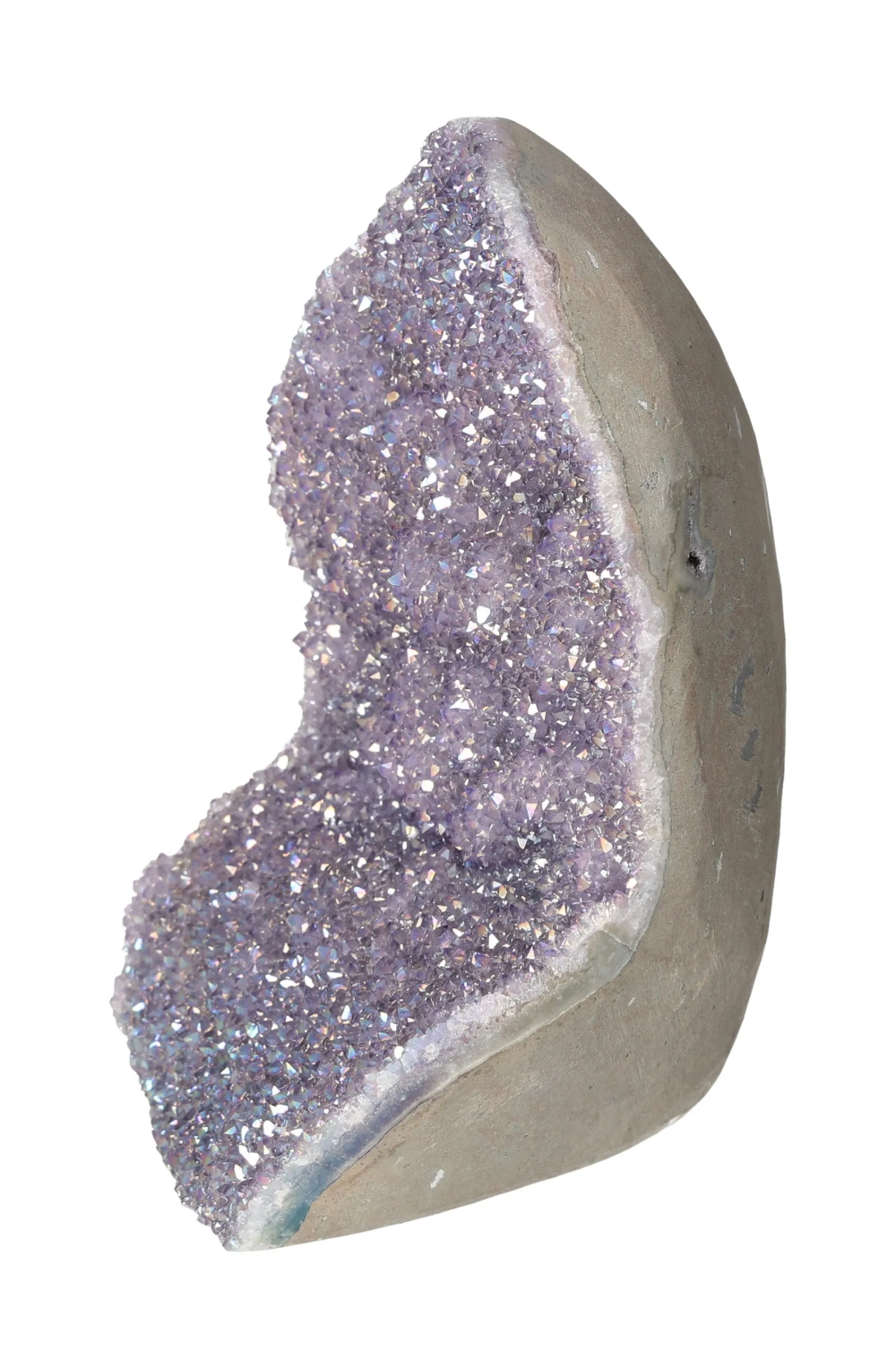 orbitvu|type:image2d