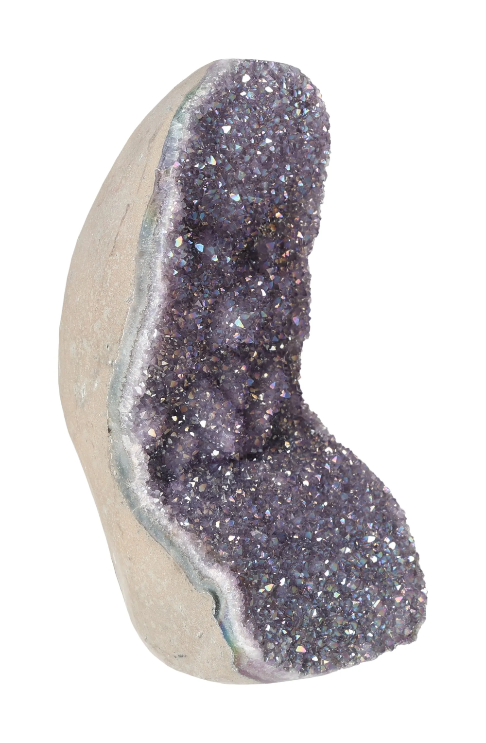 orbitvu|type:image2d