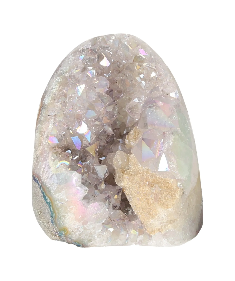 orbitvu|type:image2d