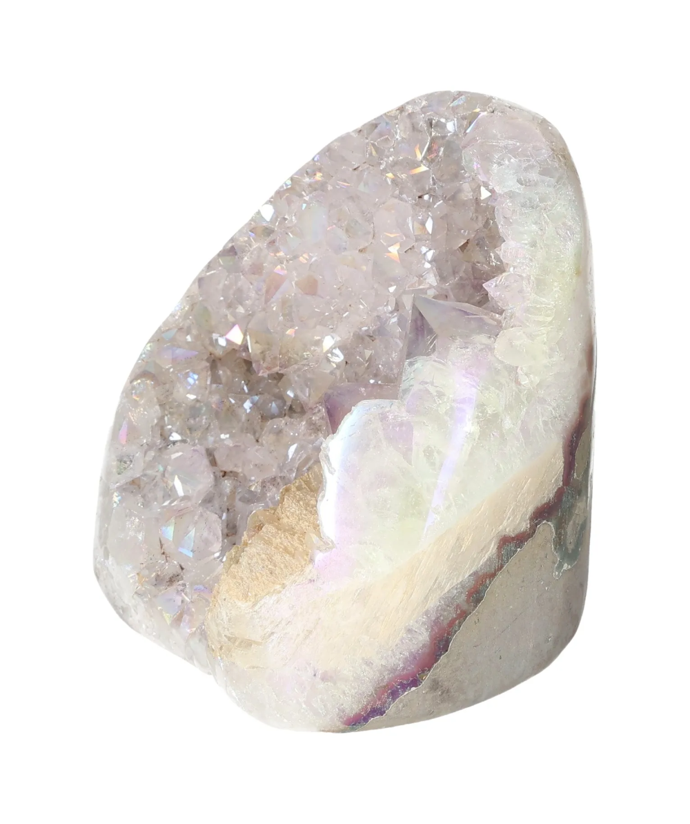 orbitvu|type:image2d