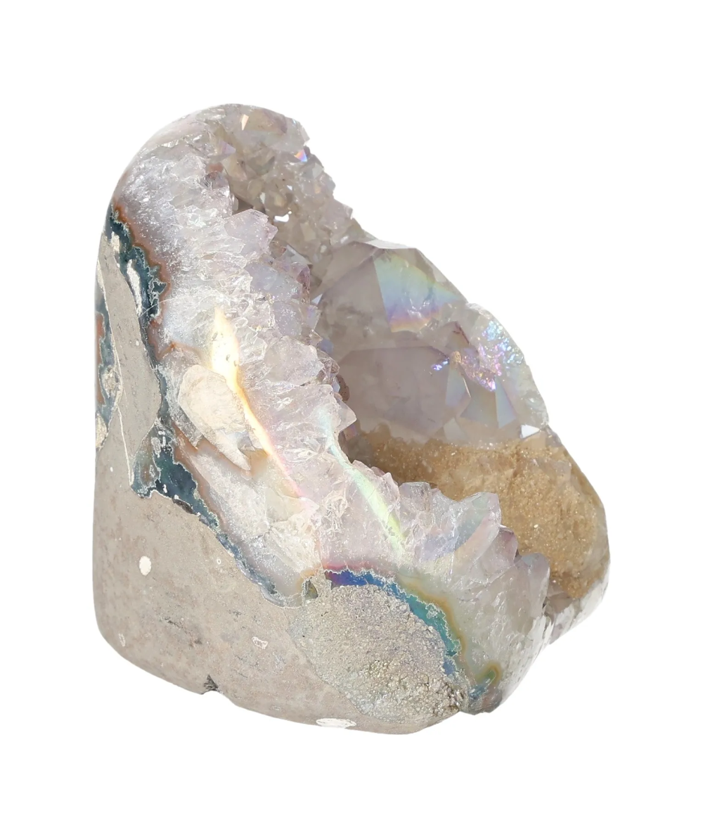 orbitvu|type:image2d