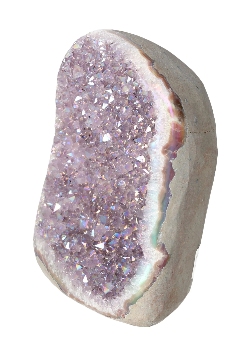 orbitvu|type:image2d