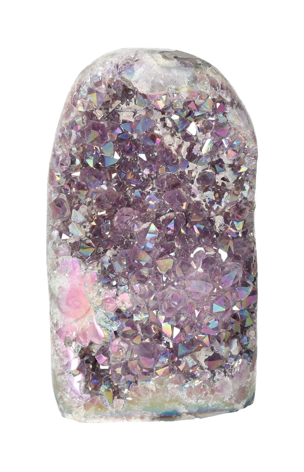 orbitvu|type:image2d