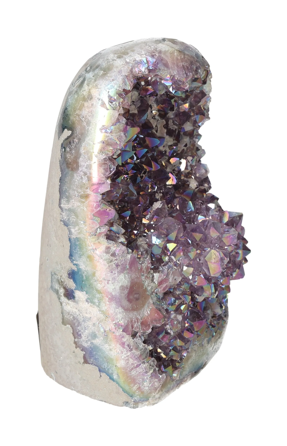 orbitvu|type:image2d