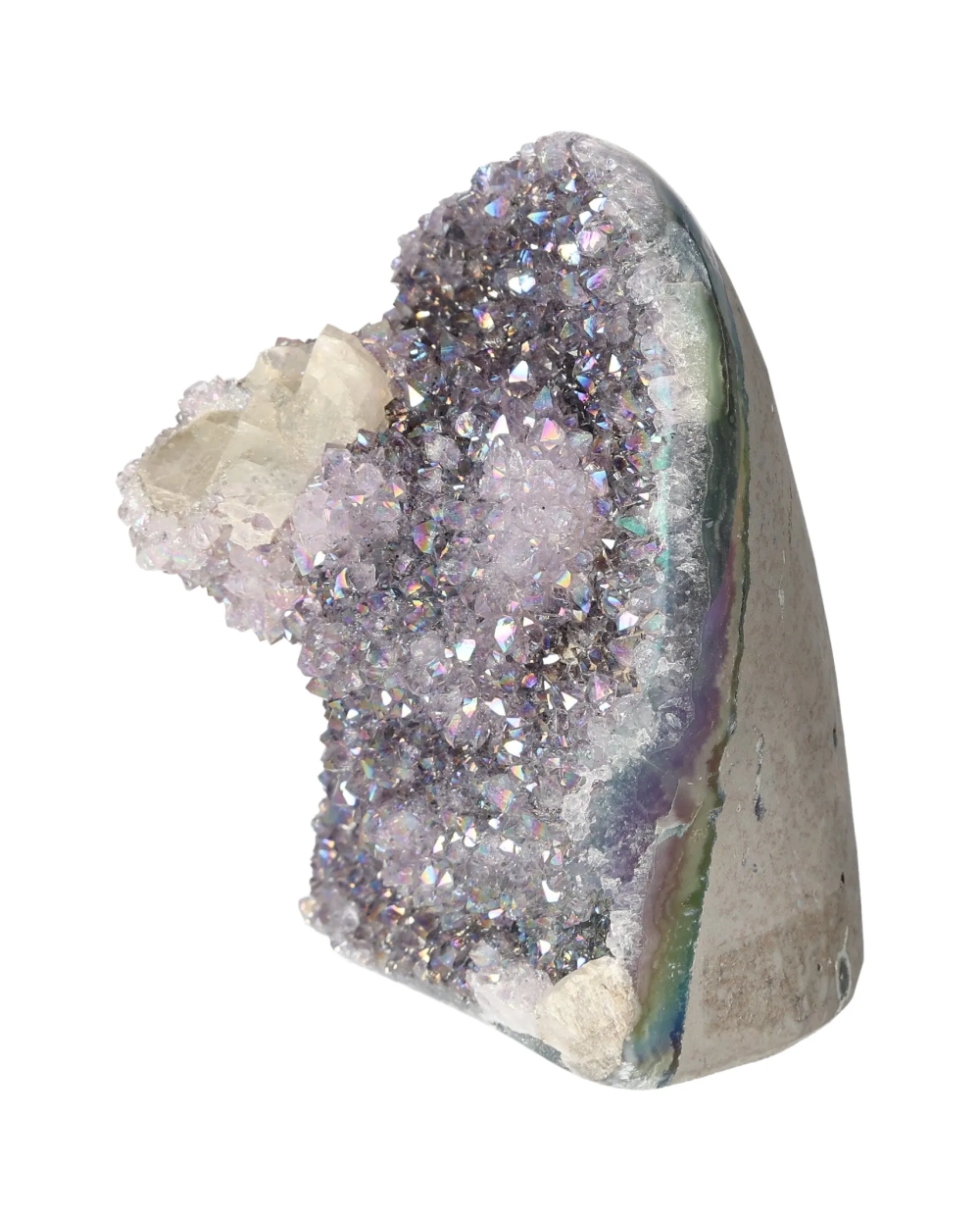 orbitvu|type:image2d