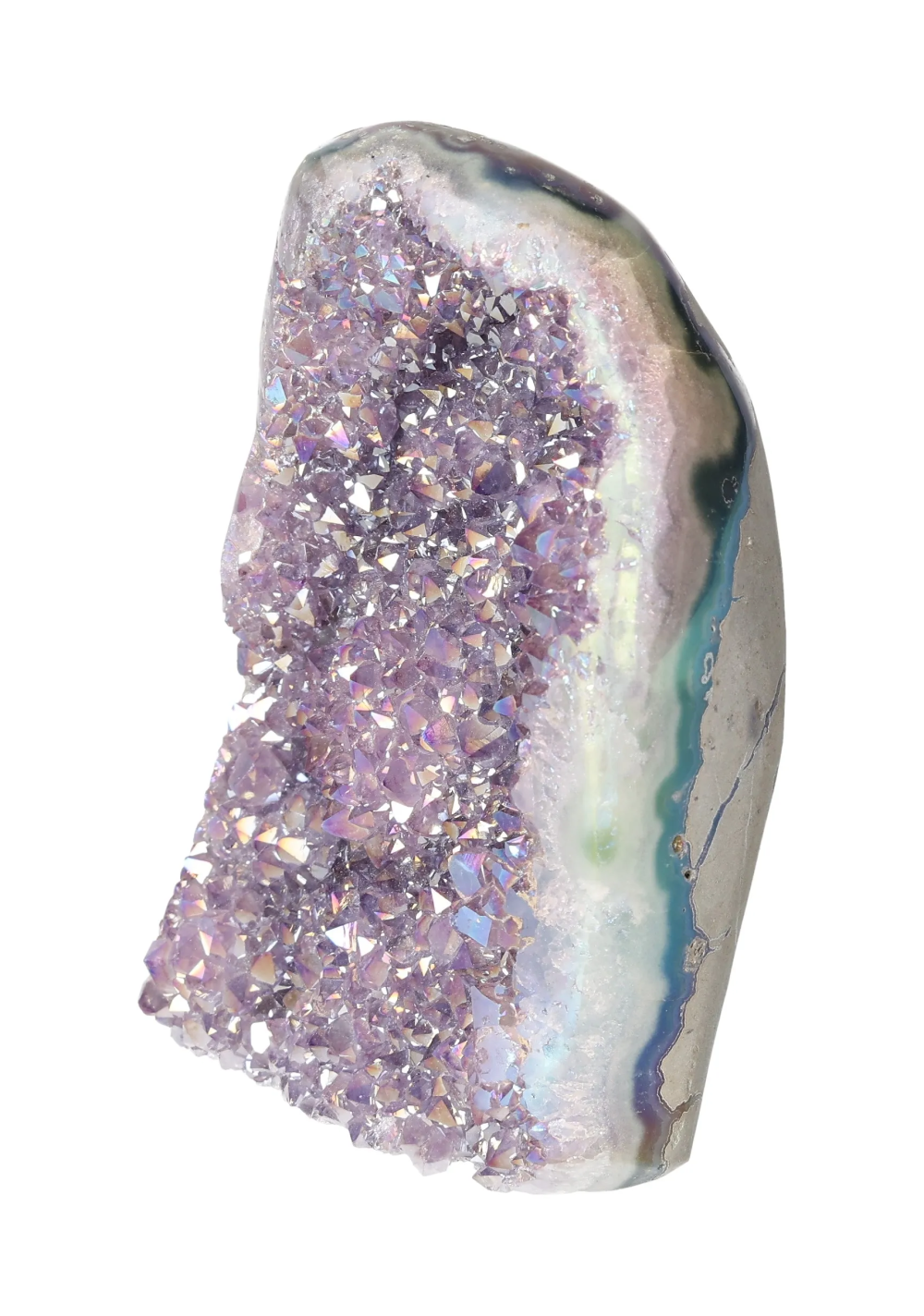 orbitvu|type:image2d