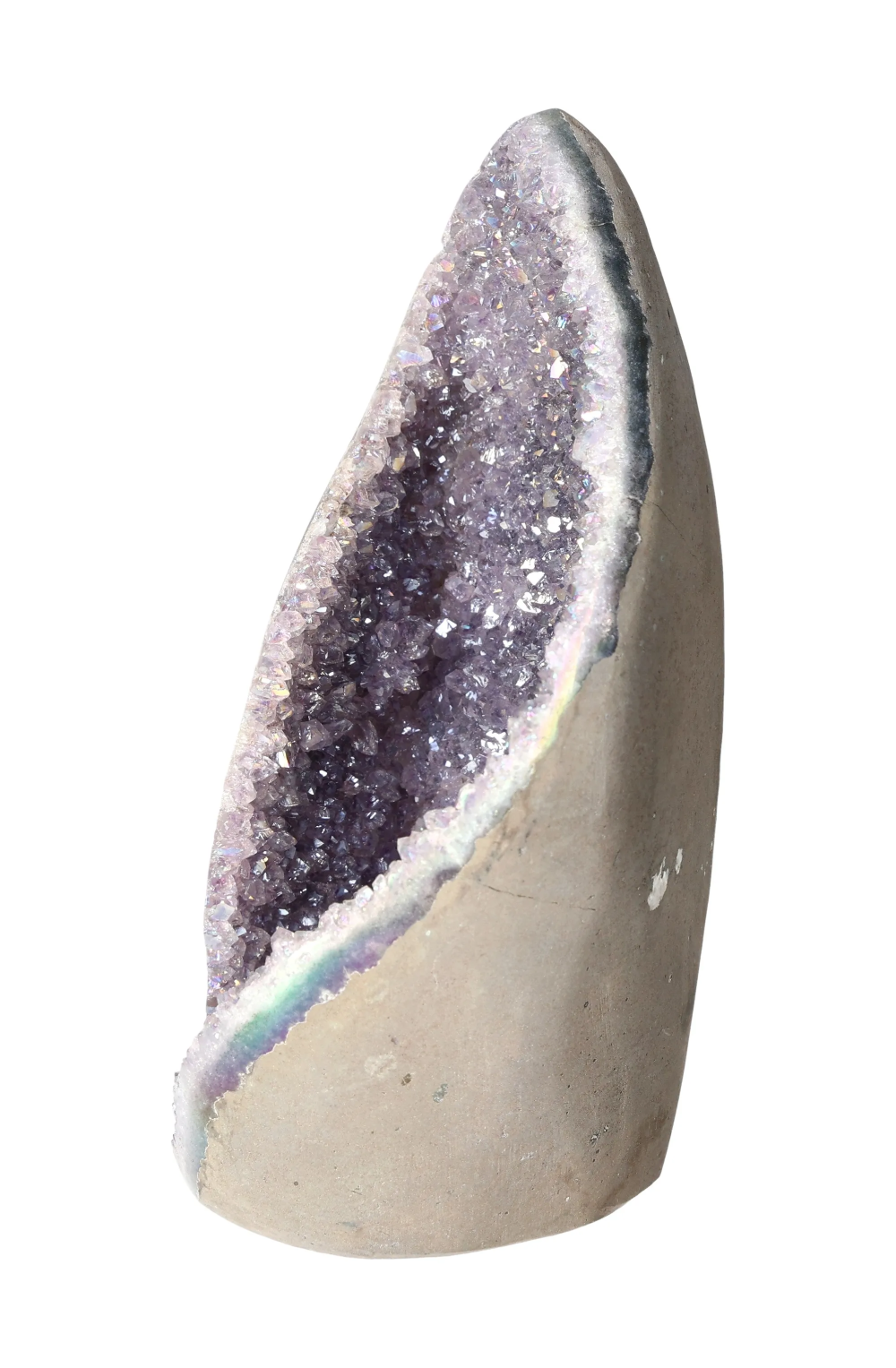 orbitvu|type:image2d