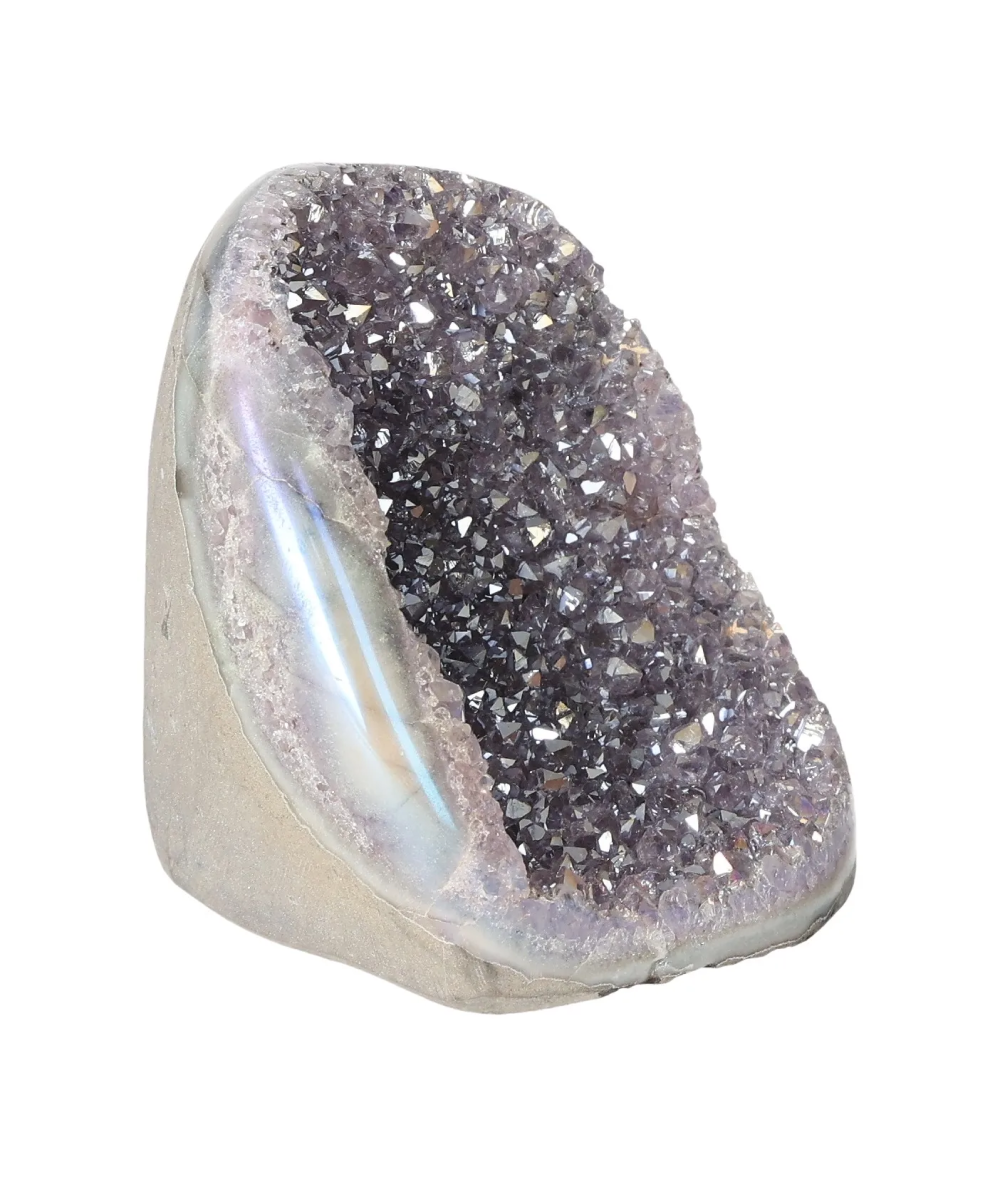 orbitvu|type:image2d