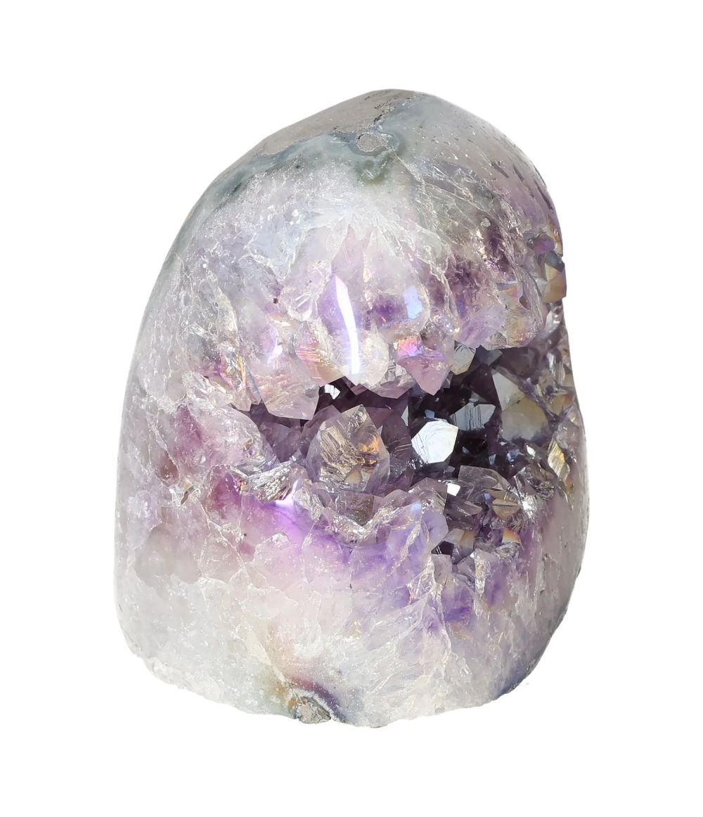 orbitvu|type:image2d