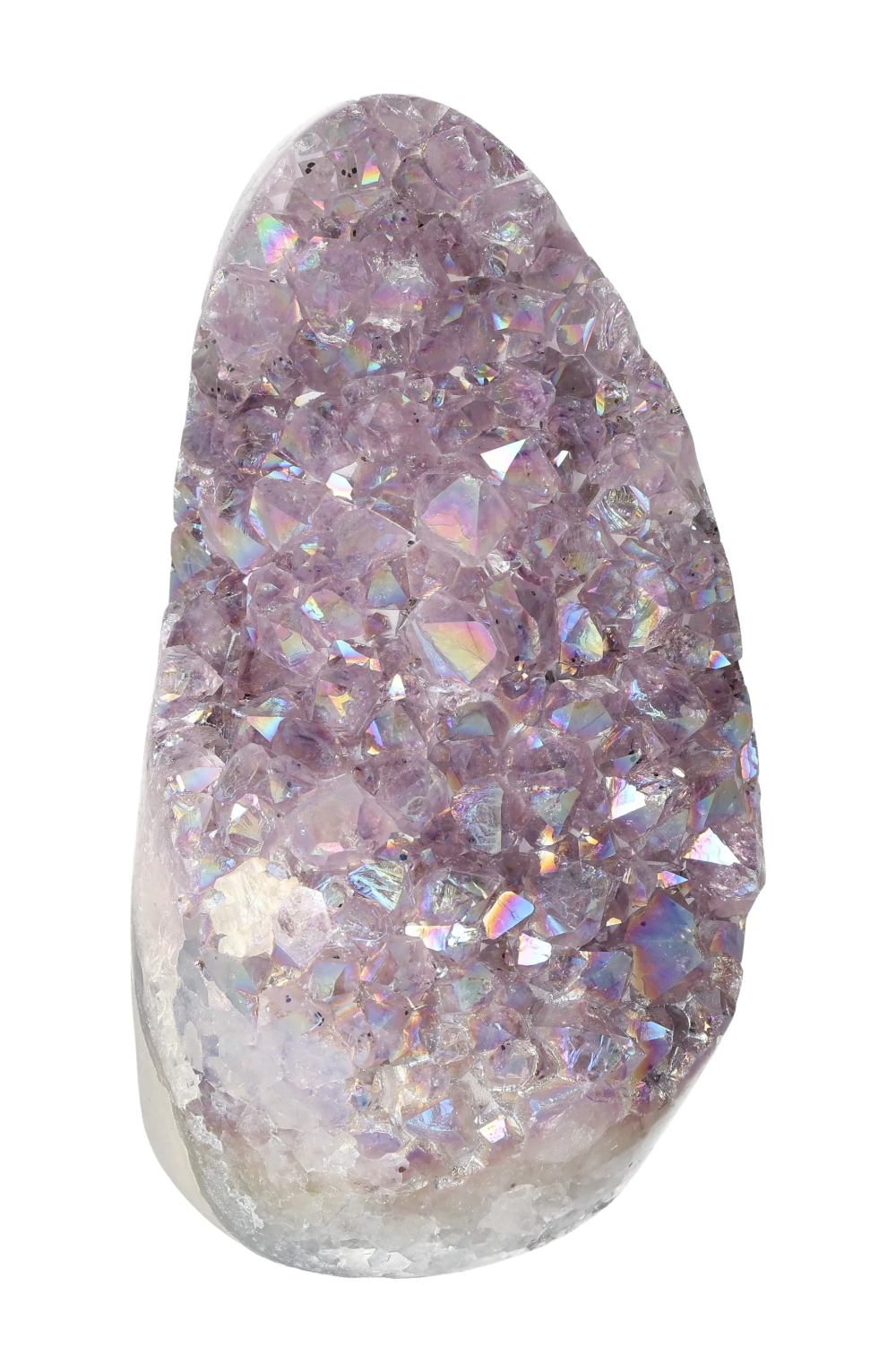 orbitvu|type:image2d