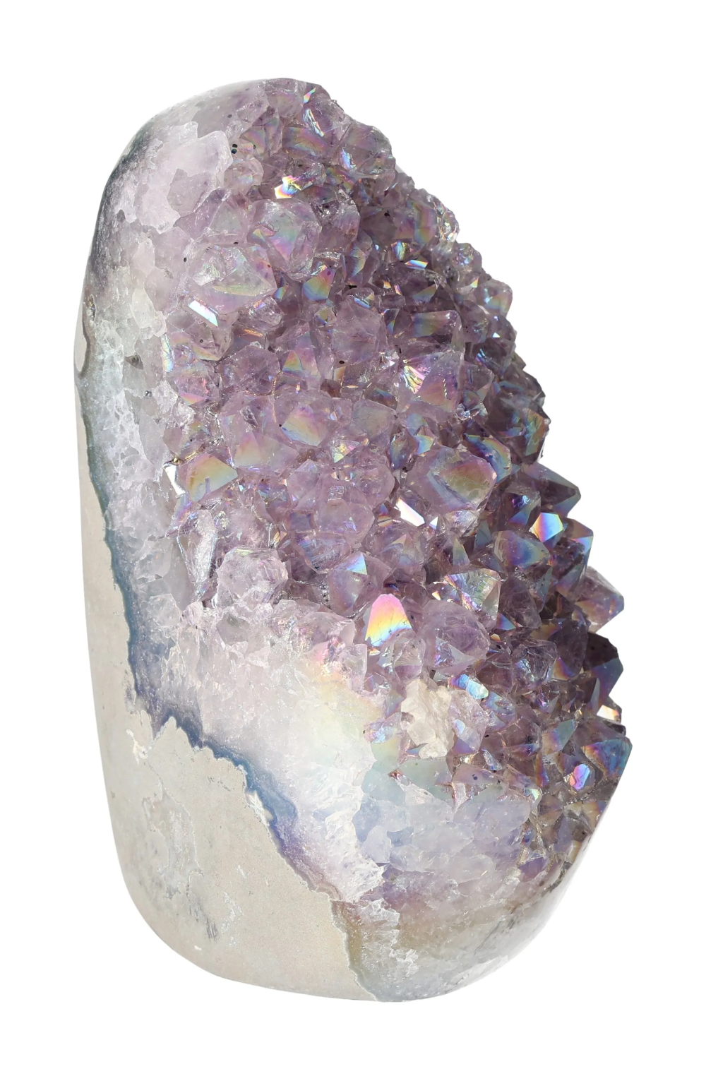 orbitvu|type:image2d