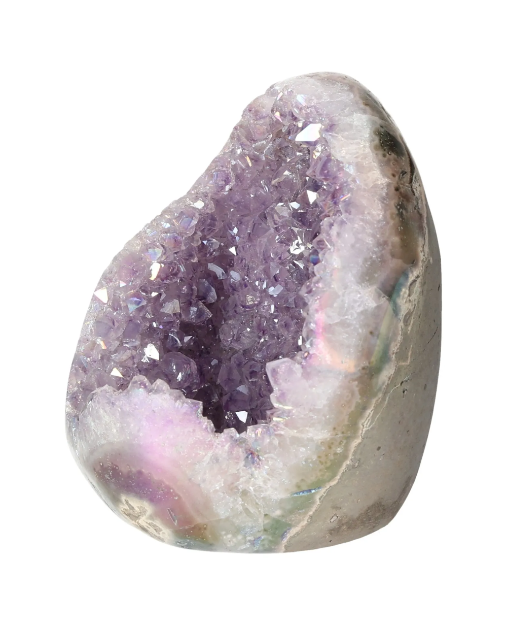 orbitvu|type:image2d