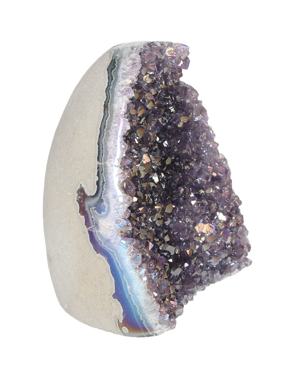 orbitvu|type:image2d