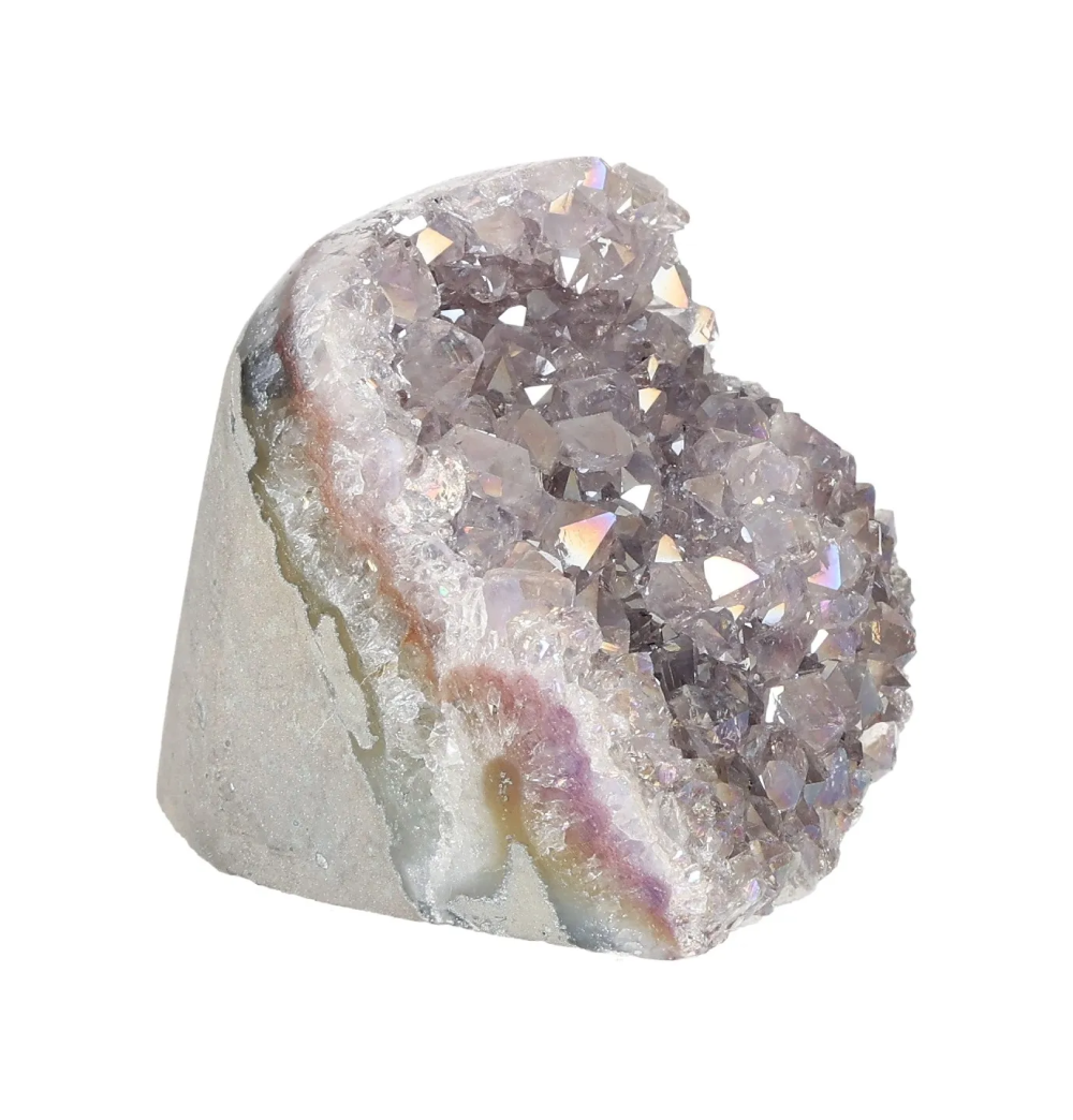 orbitvu|type:image2d