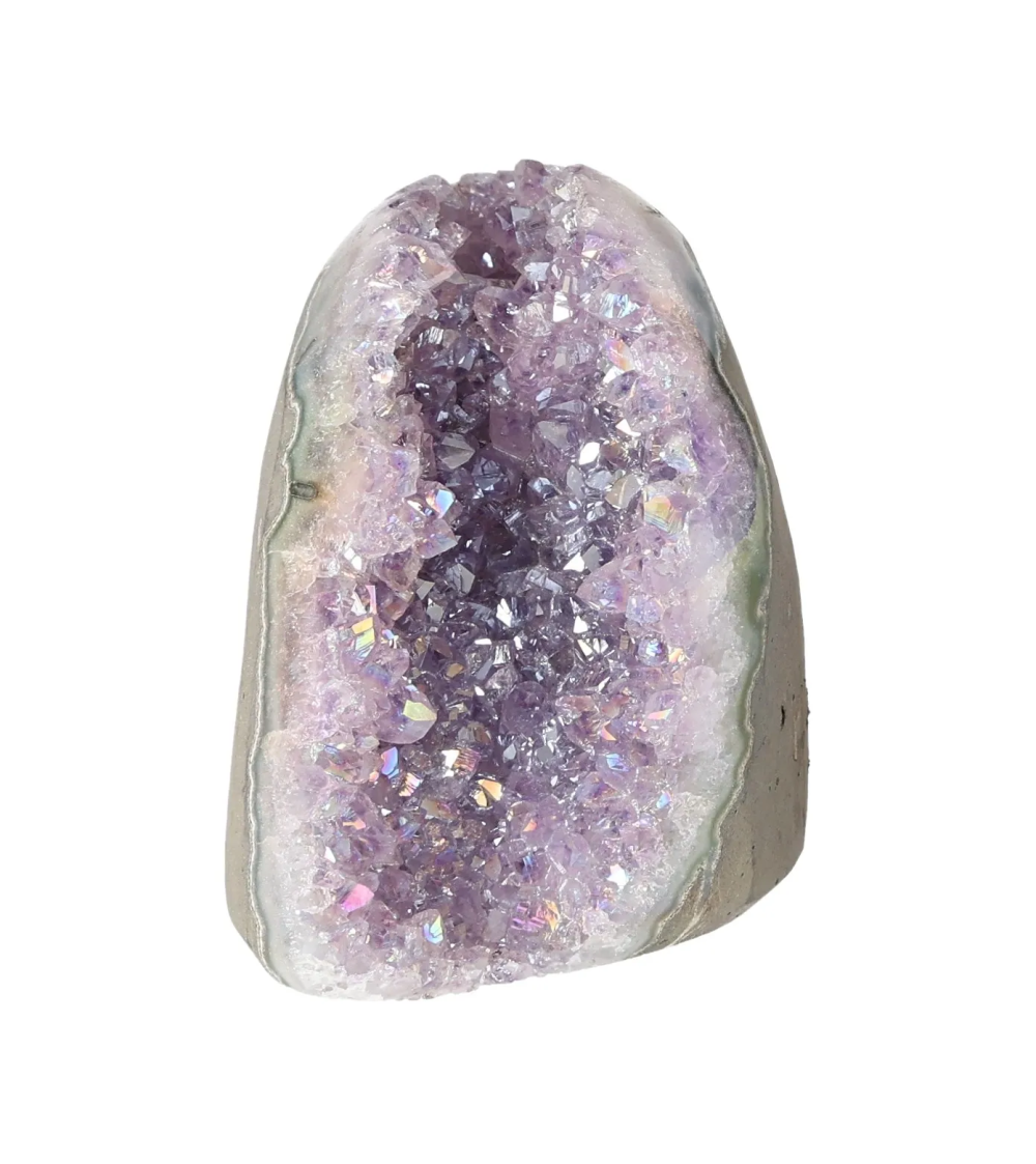 orbitvu|type:image2d