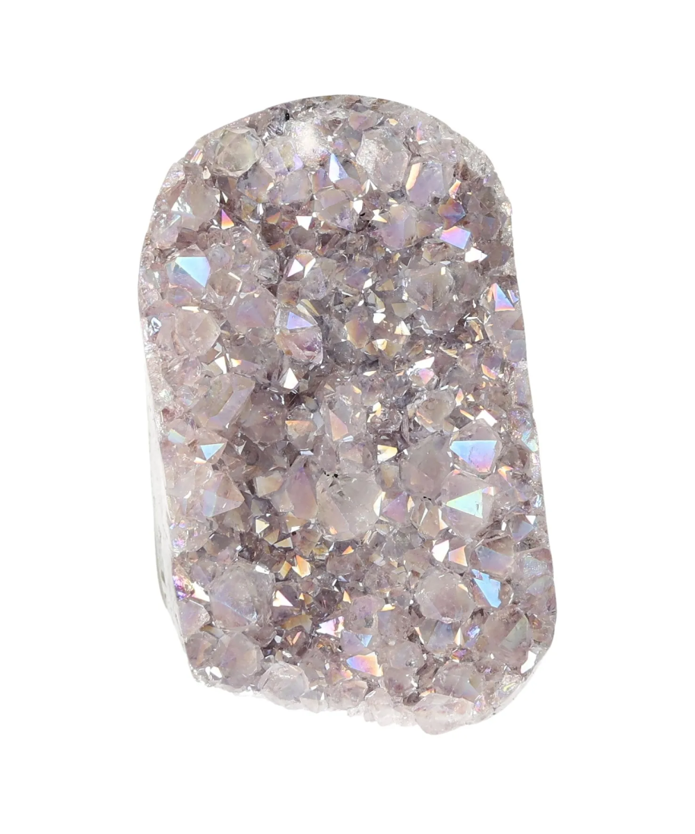 orbitvu|type:image2d