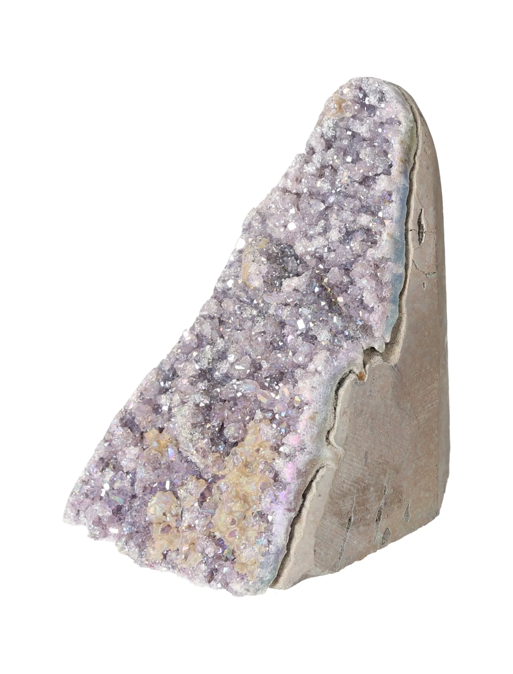 orbitvu|type:image2d