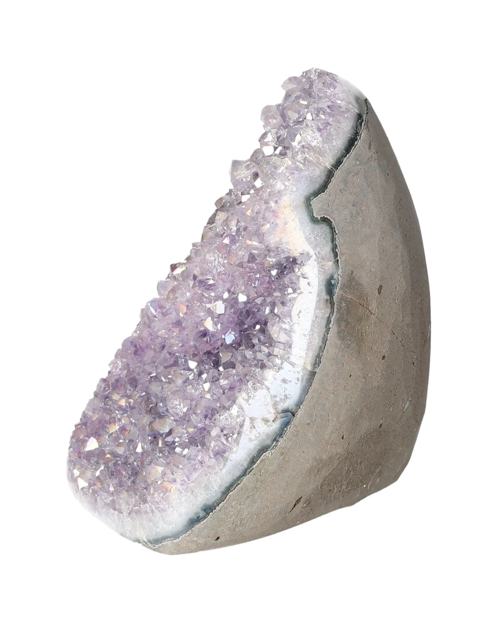 orbitvu|type:image2d