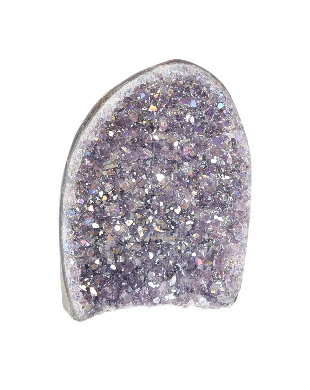 orbitvu|type:image2d