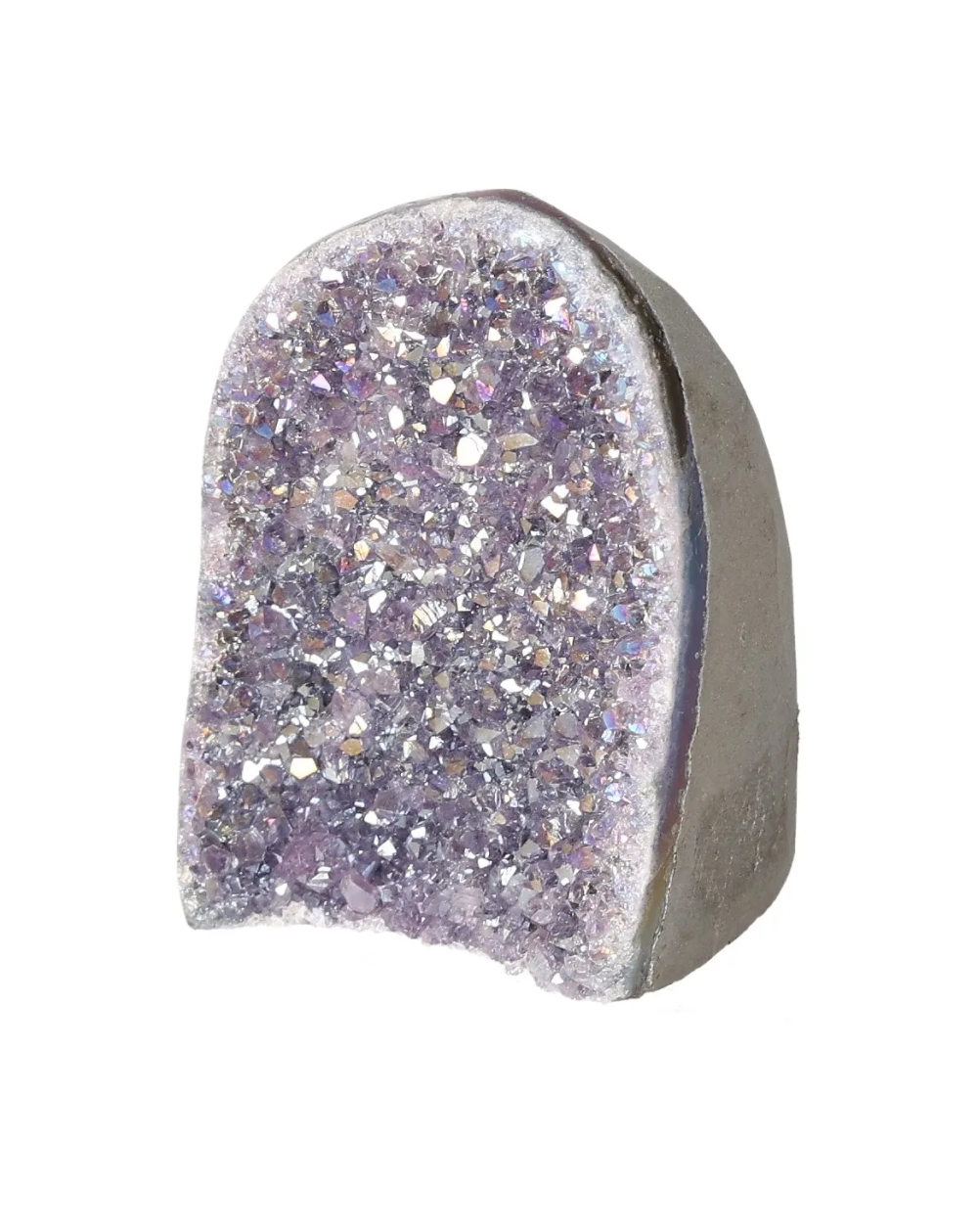 orbitvu|type:image2d