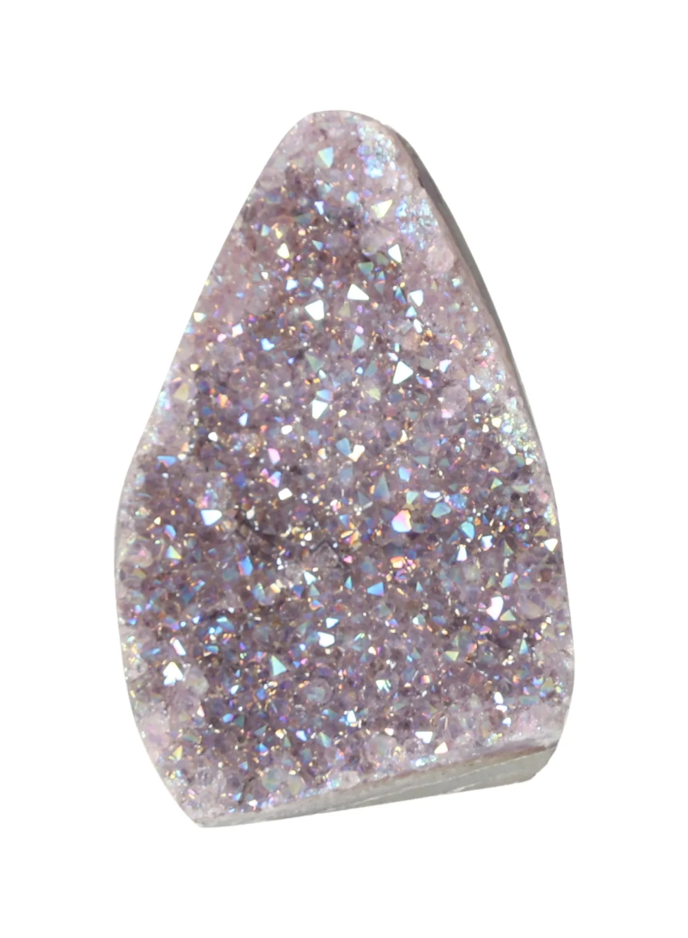 orbitvu|type:image2d