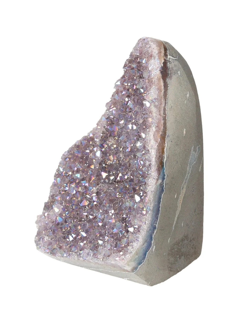 orbitvu|type:image2d