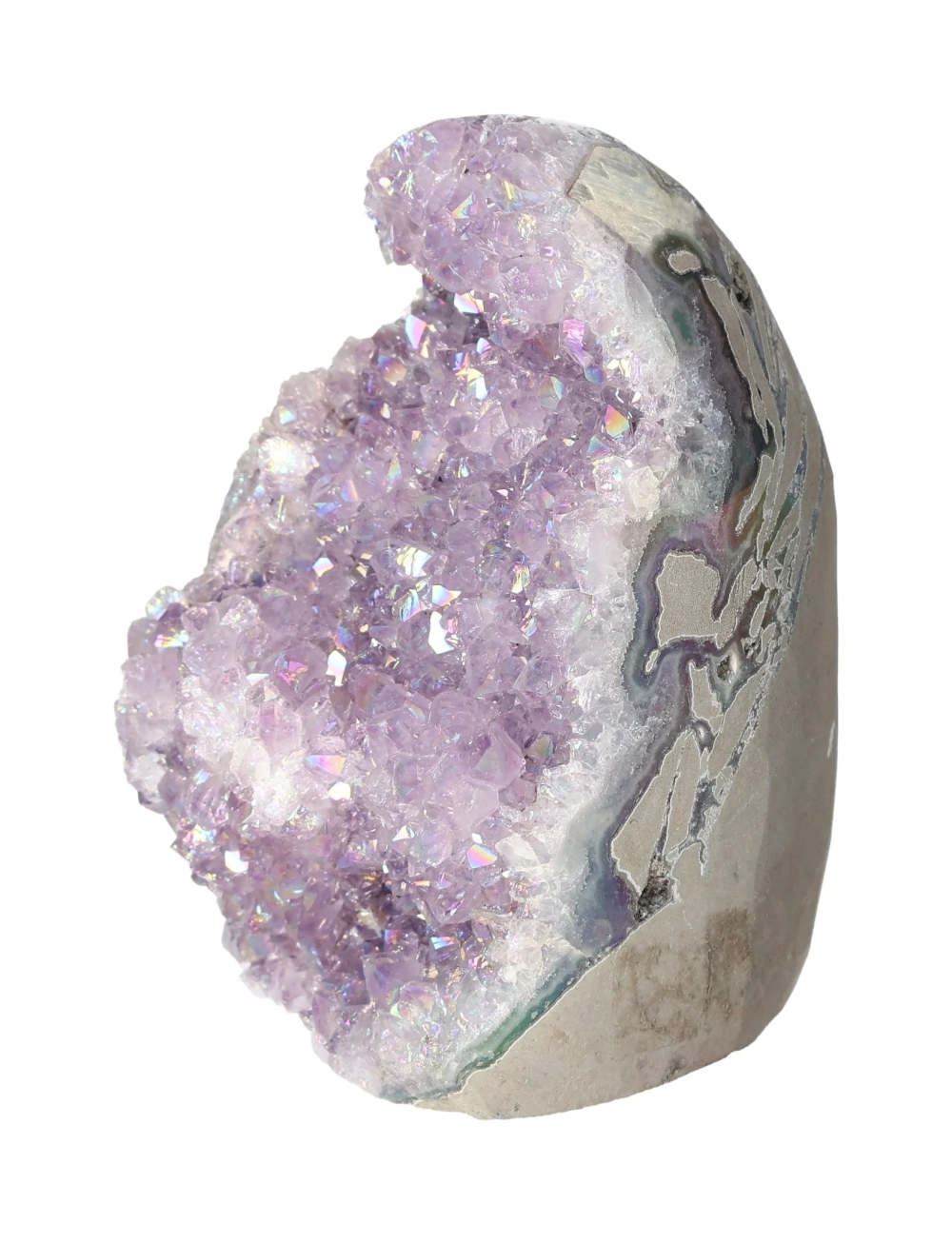 orbitvu|type:image2d