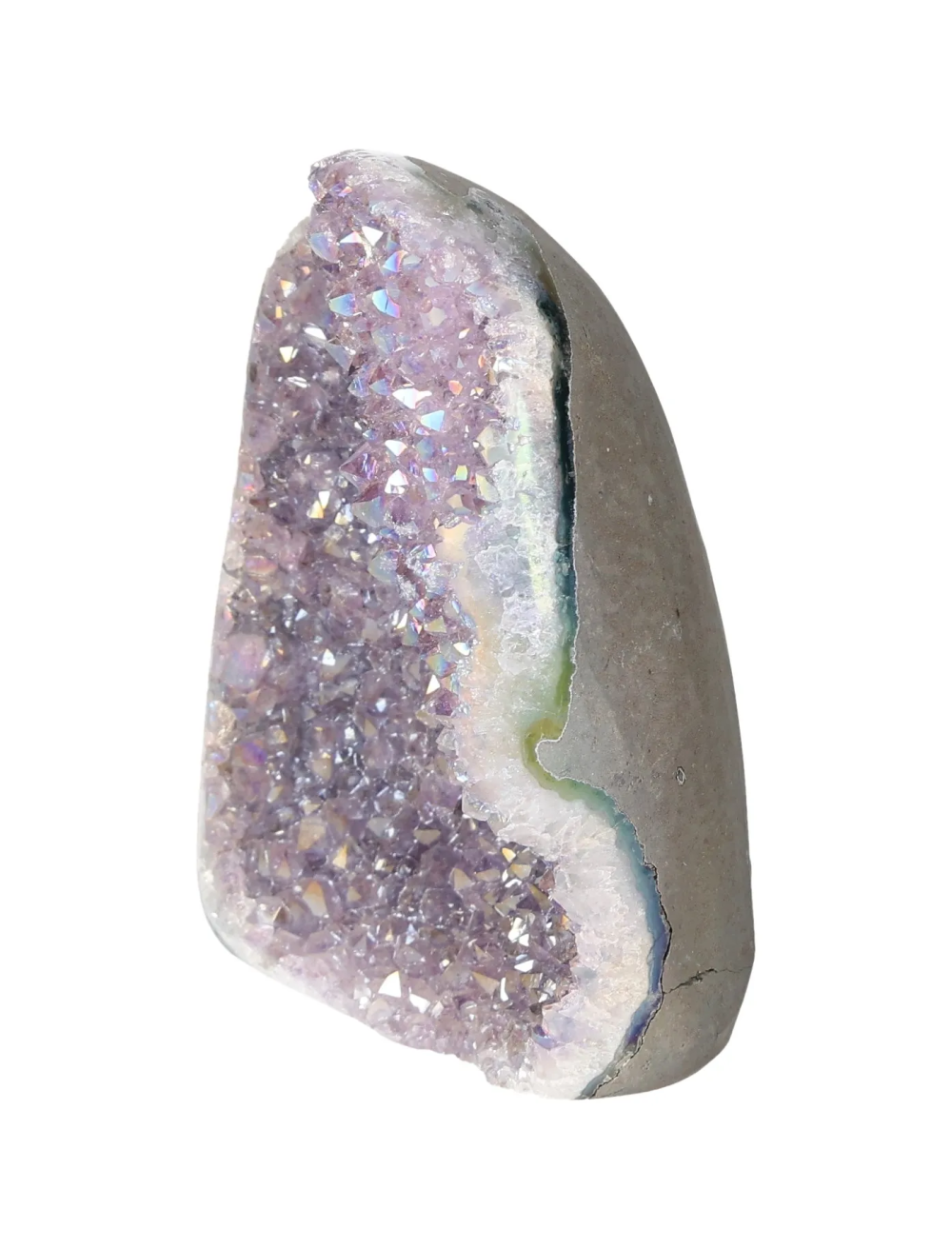 orbitvu|type:image2d