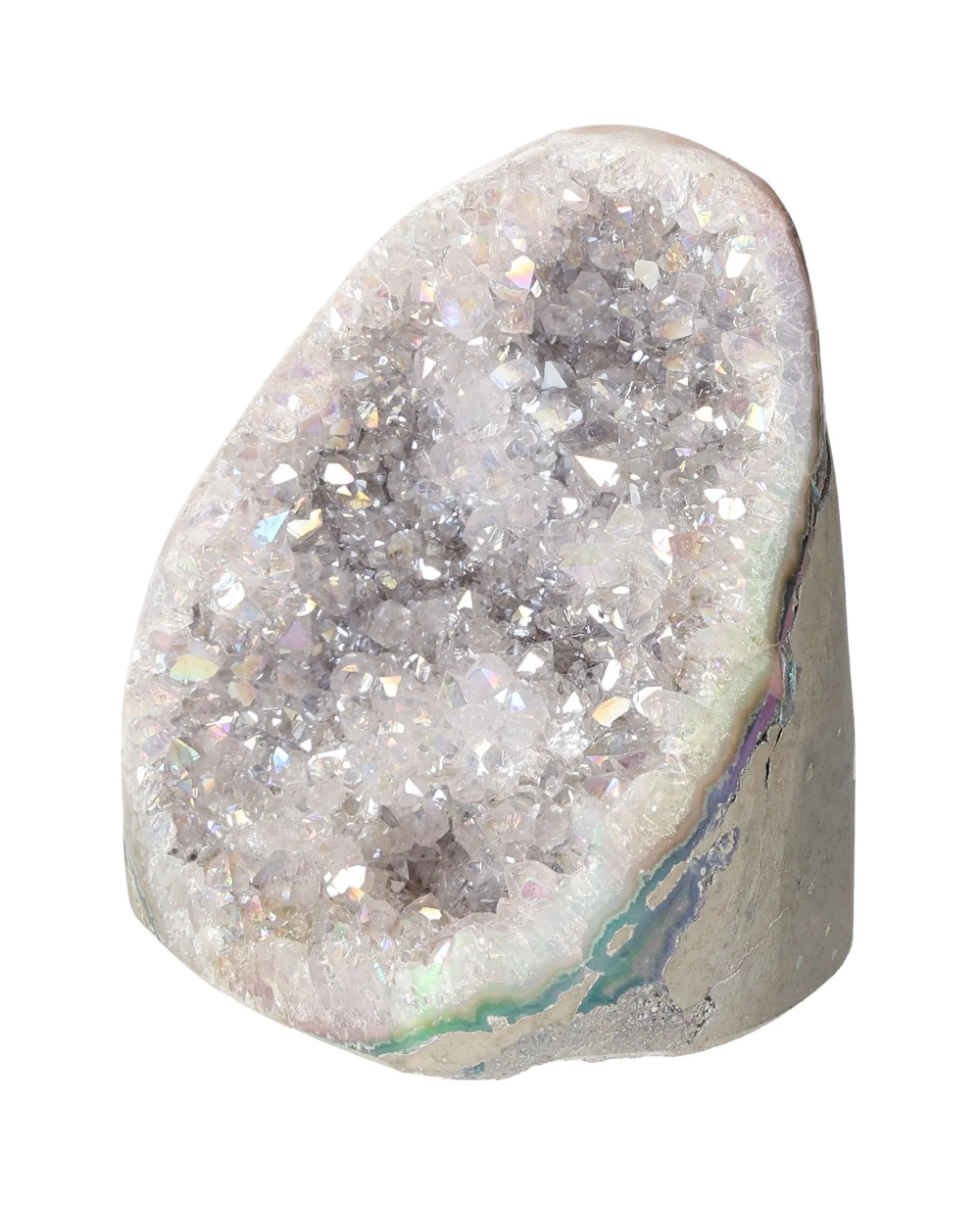 orbitvu|type:image2d