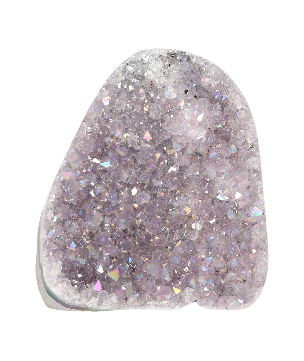 orbitvu|type:image2d