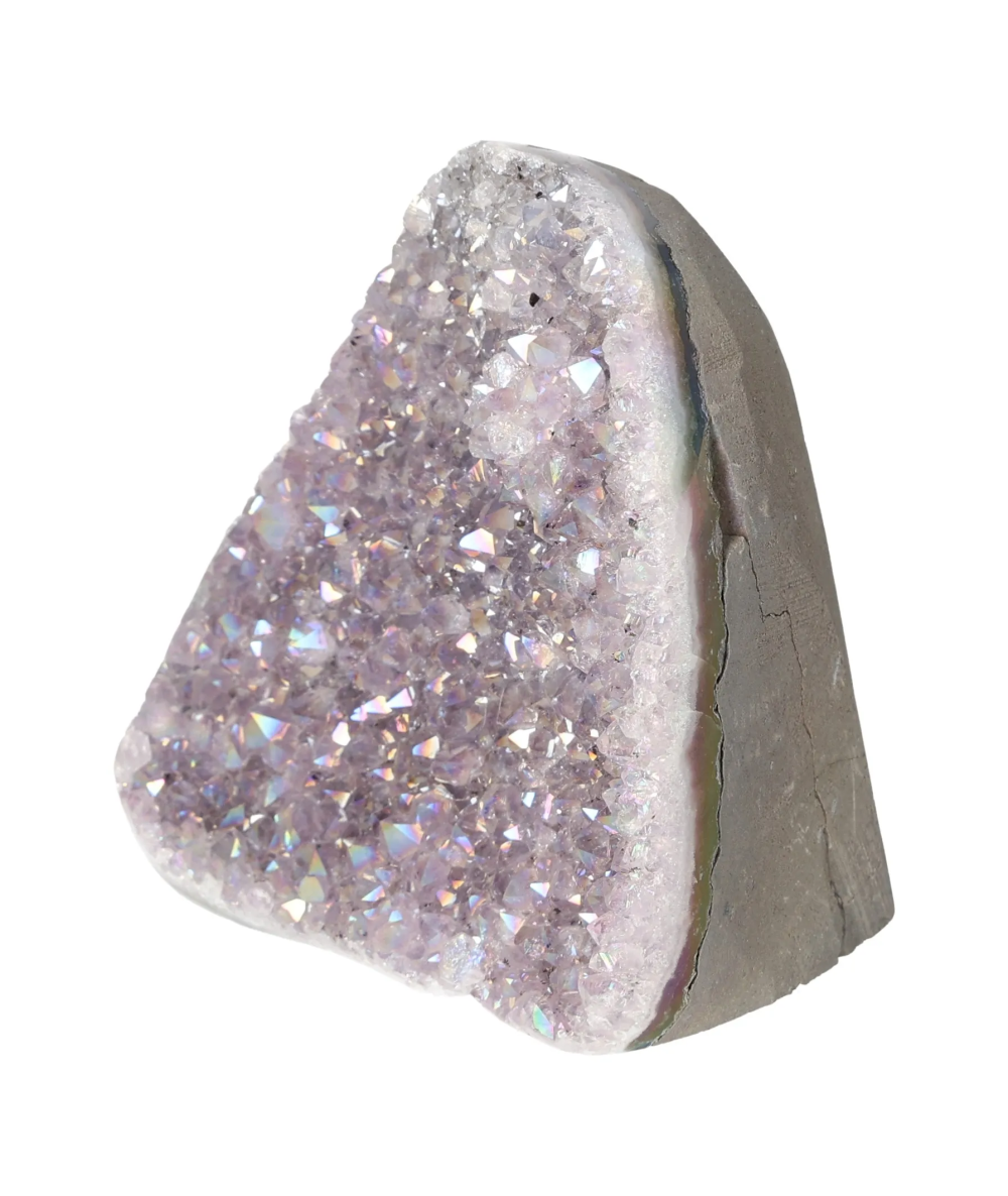 orbitvu|type:image2d