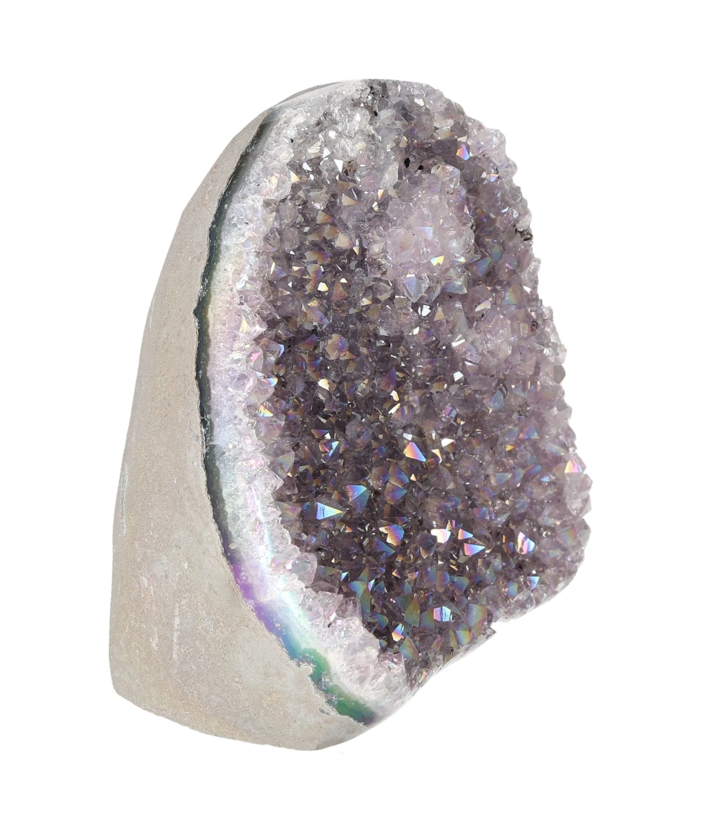 orbitvu|type:image2d