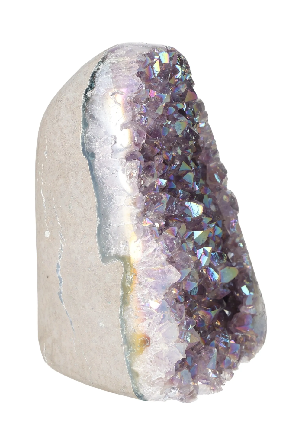 orbitvu|type:image2d