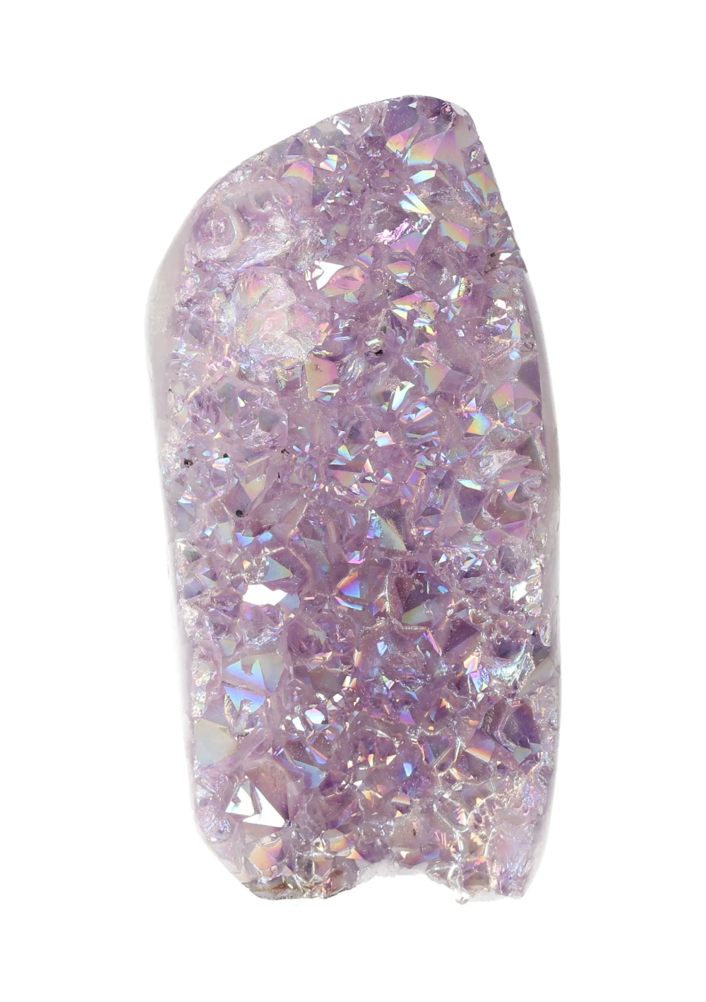 orbitvu|type:image2d