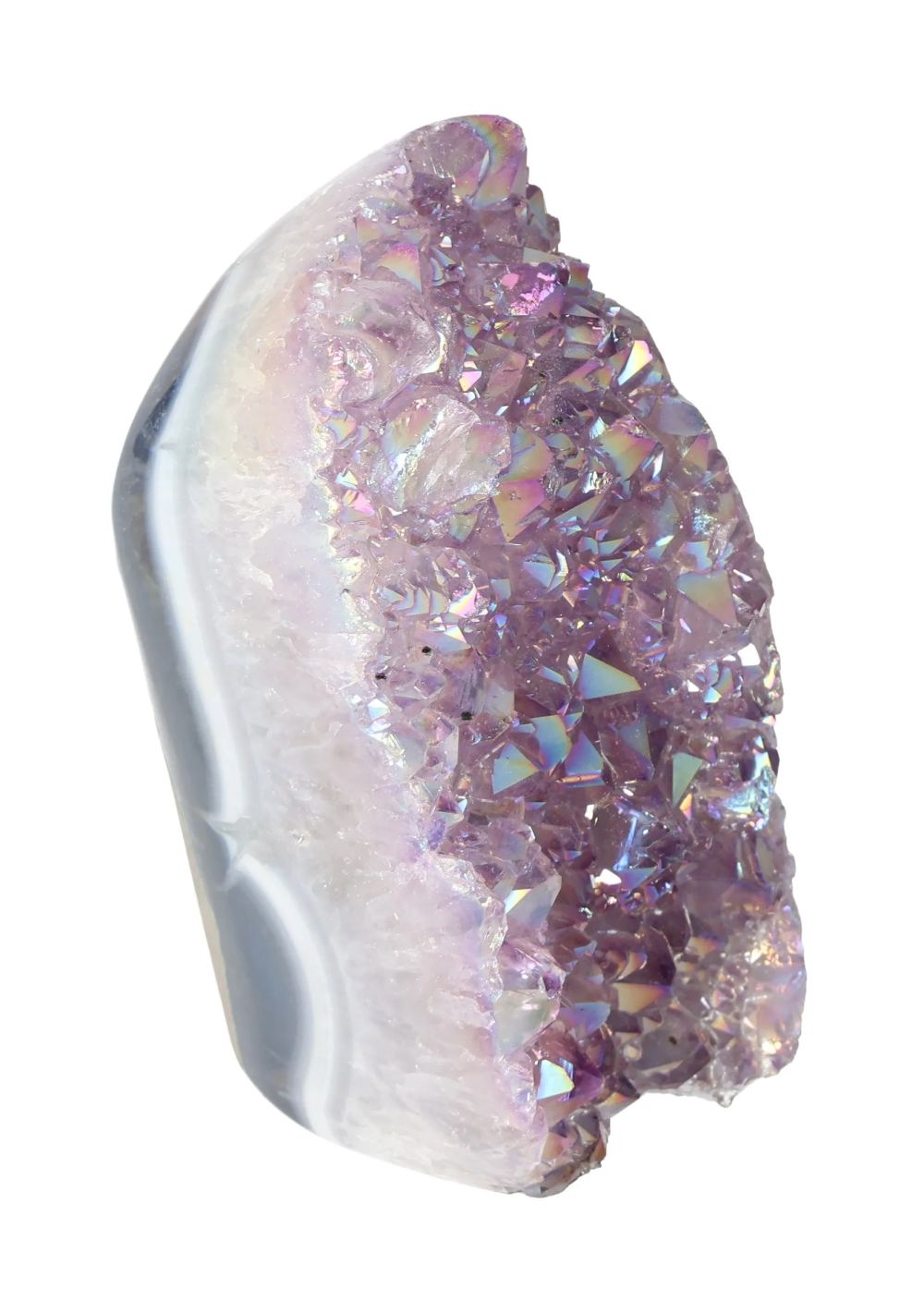 orbitvu|type:image2d