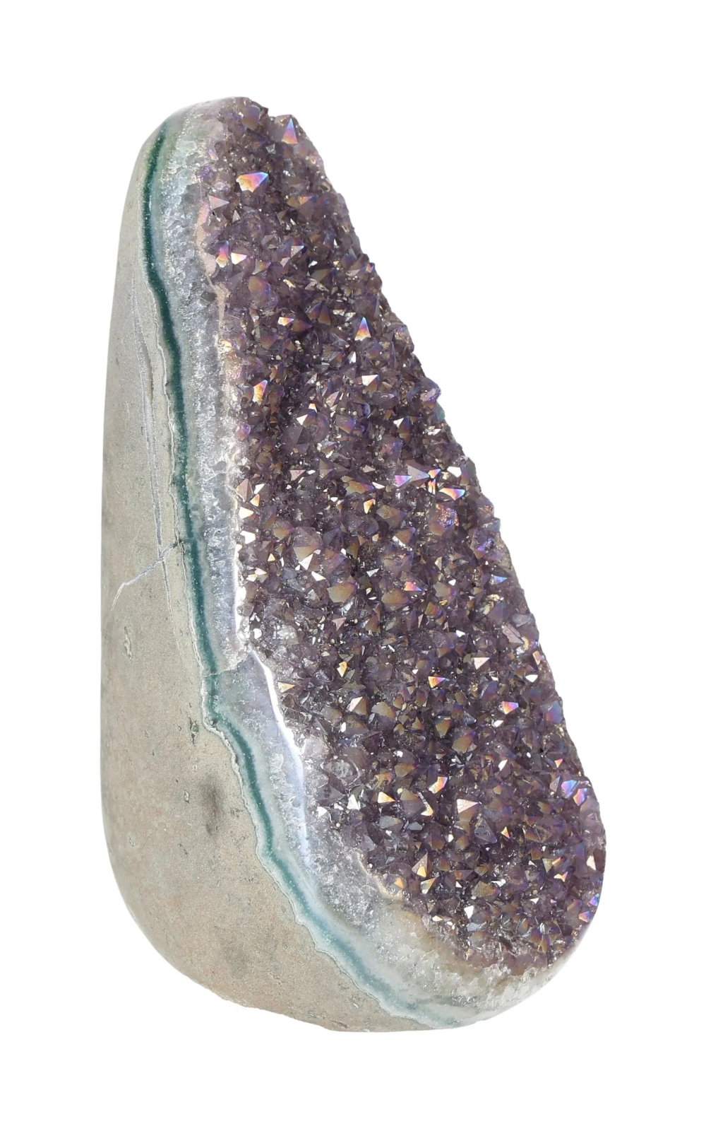 orbitvu|type:image2d