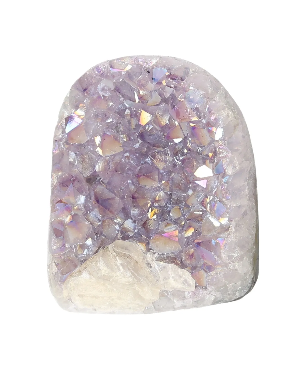 orbitvu|type:image2d