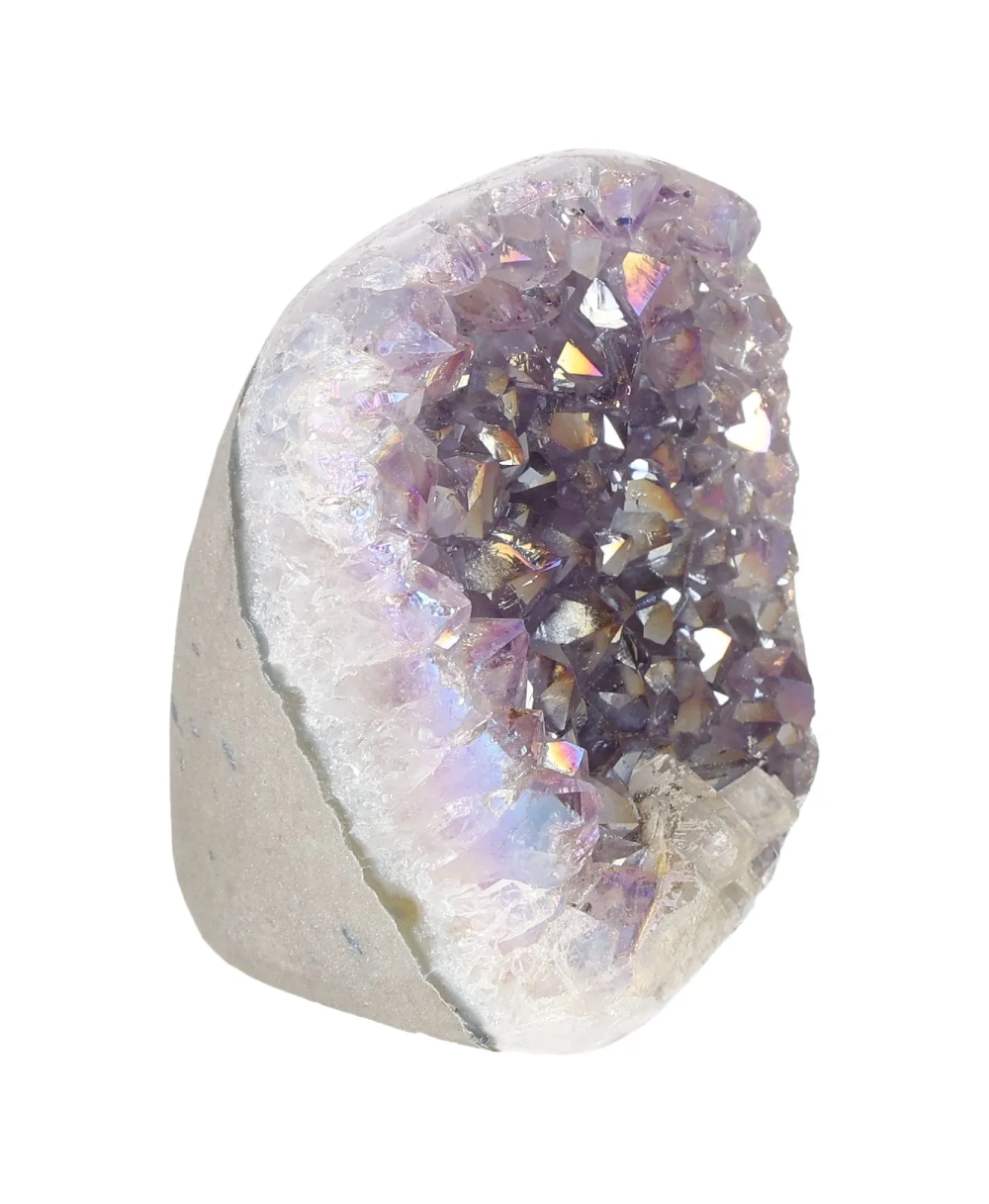 orbitvu|type:image2d