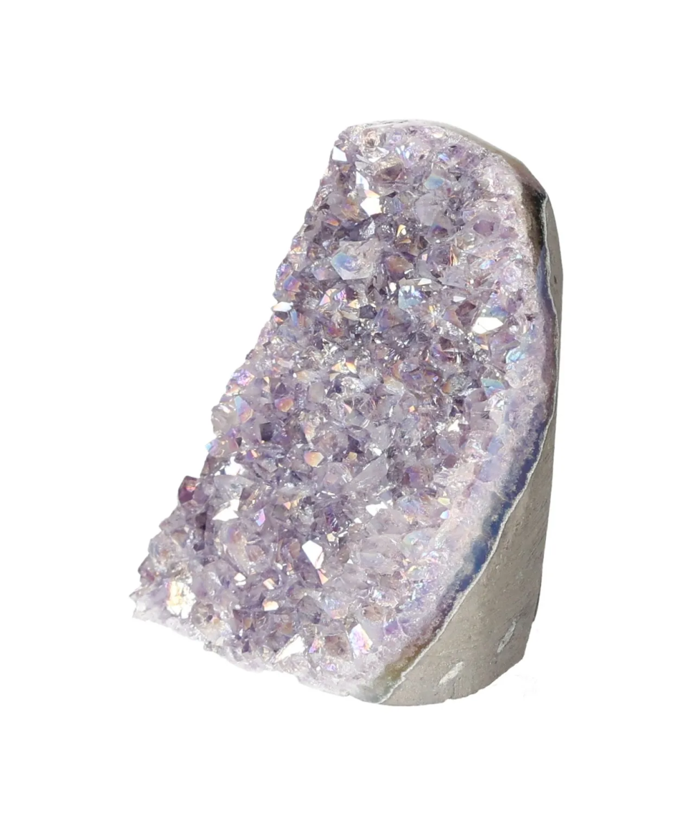 orbitvu|type:image2d