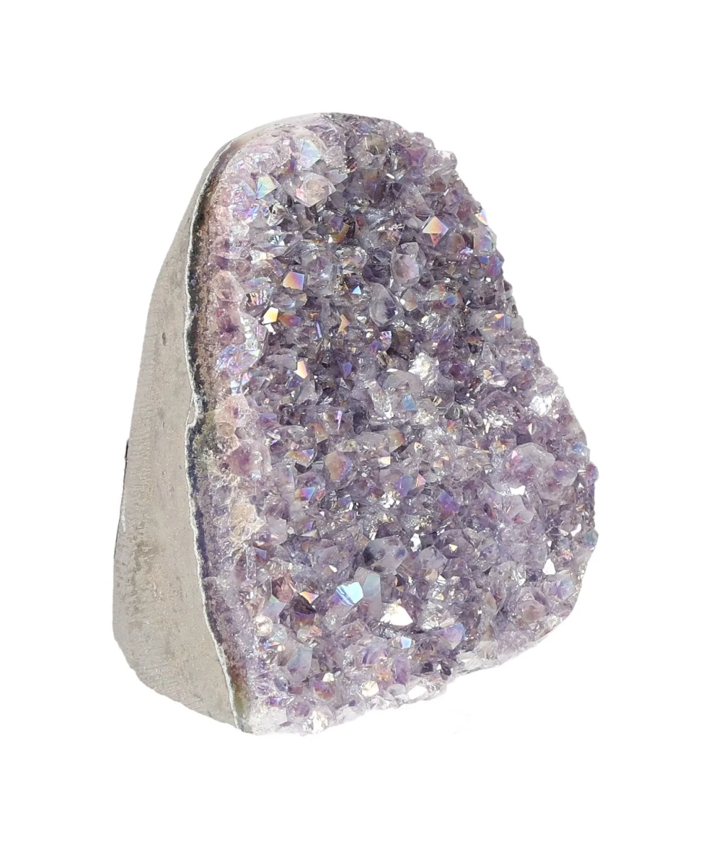 orbitvu|type:image2d