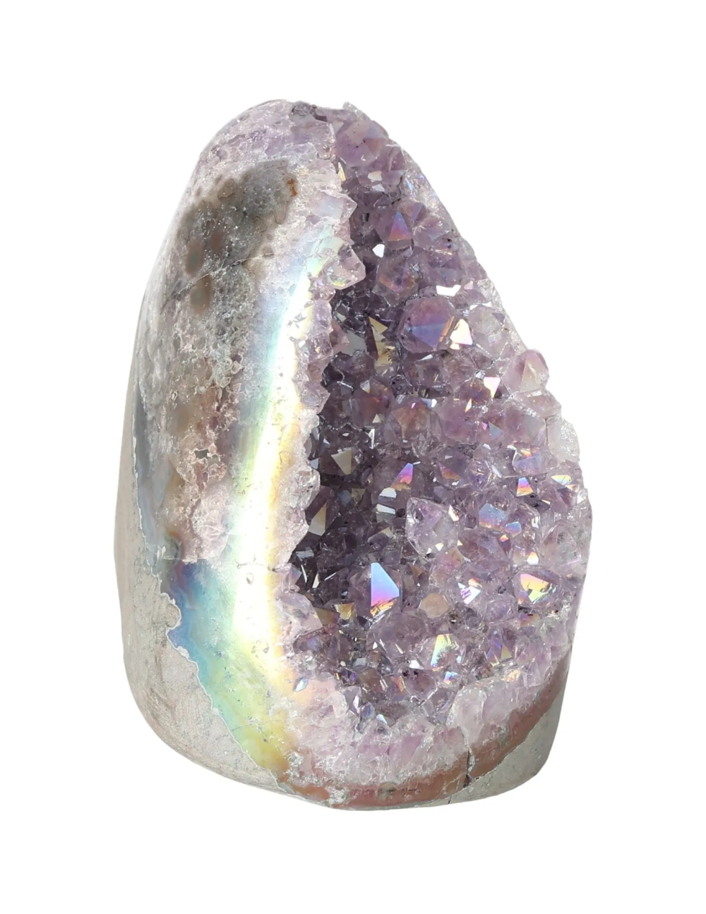 orbitvu|type:image2d