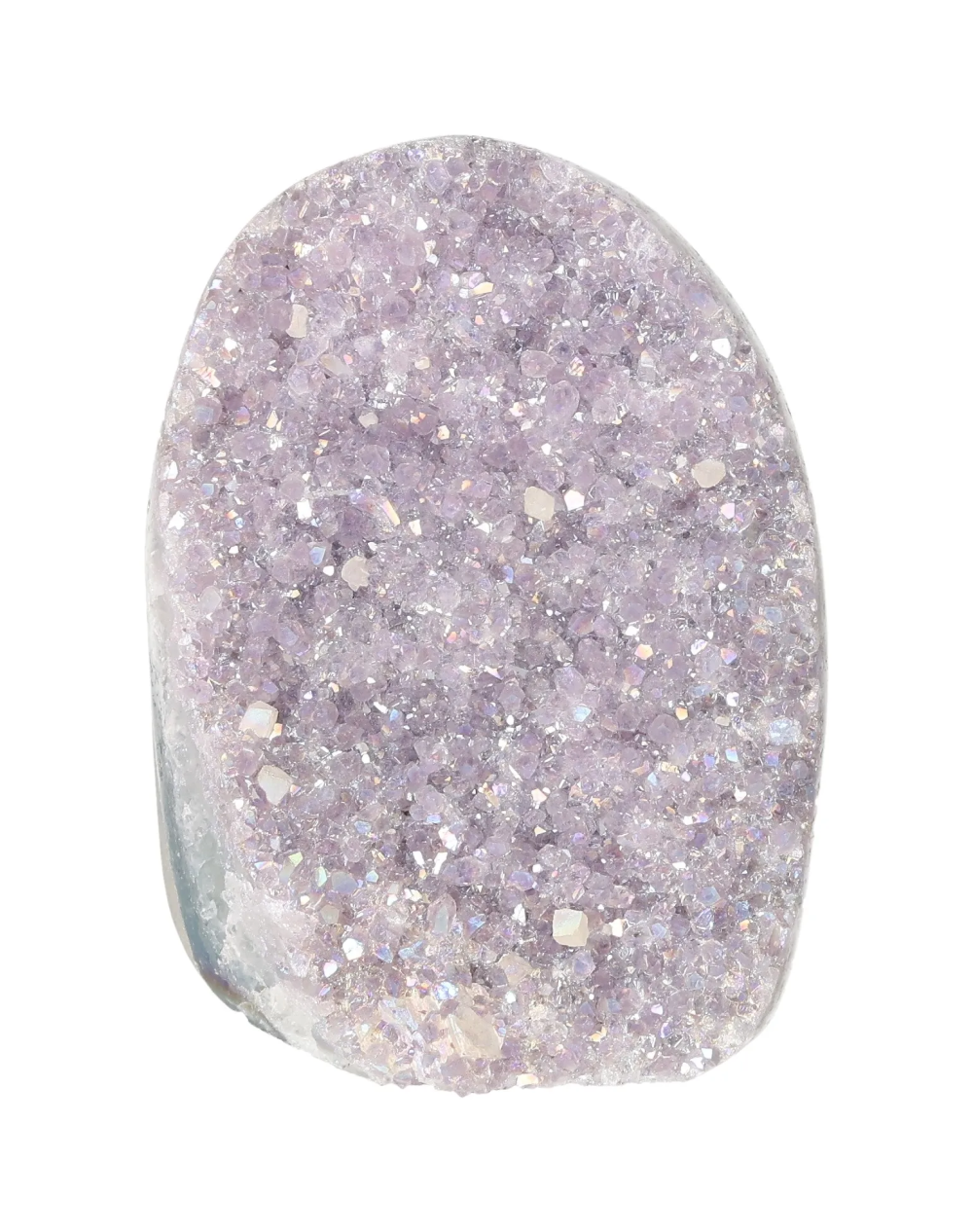 orbitvu|type:image2d