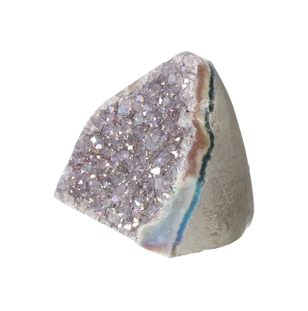 orbitvu|type:image2d