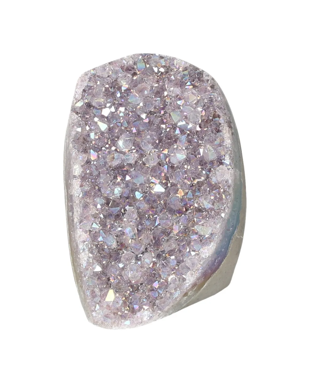 orbitvu|type:image2d