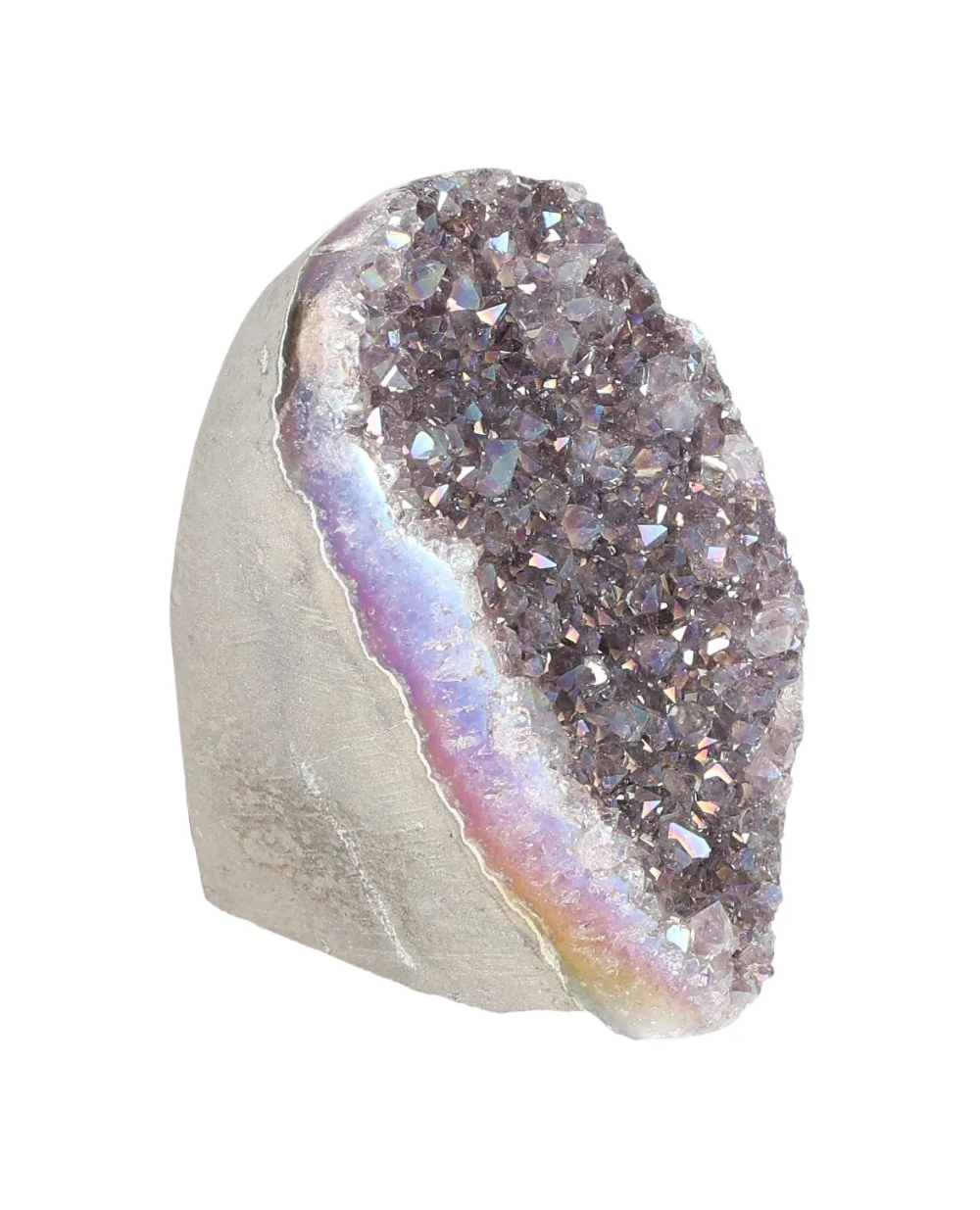 orbitvu|type:image2d